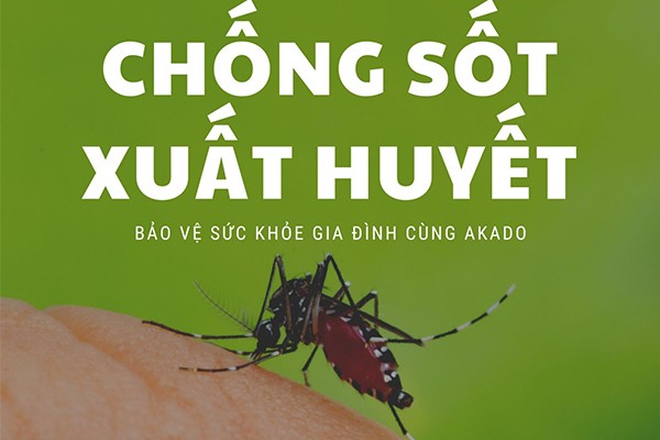 Phòng sốt xuất huyết trong dịp Tết, một số biện pháp tự nhiên tránh muỗi đơn giản mà hiệu quả.